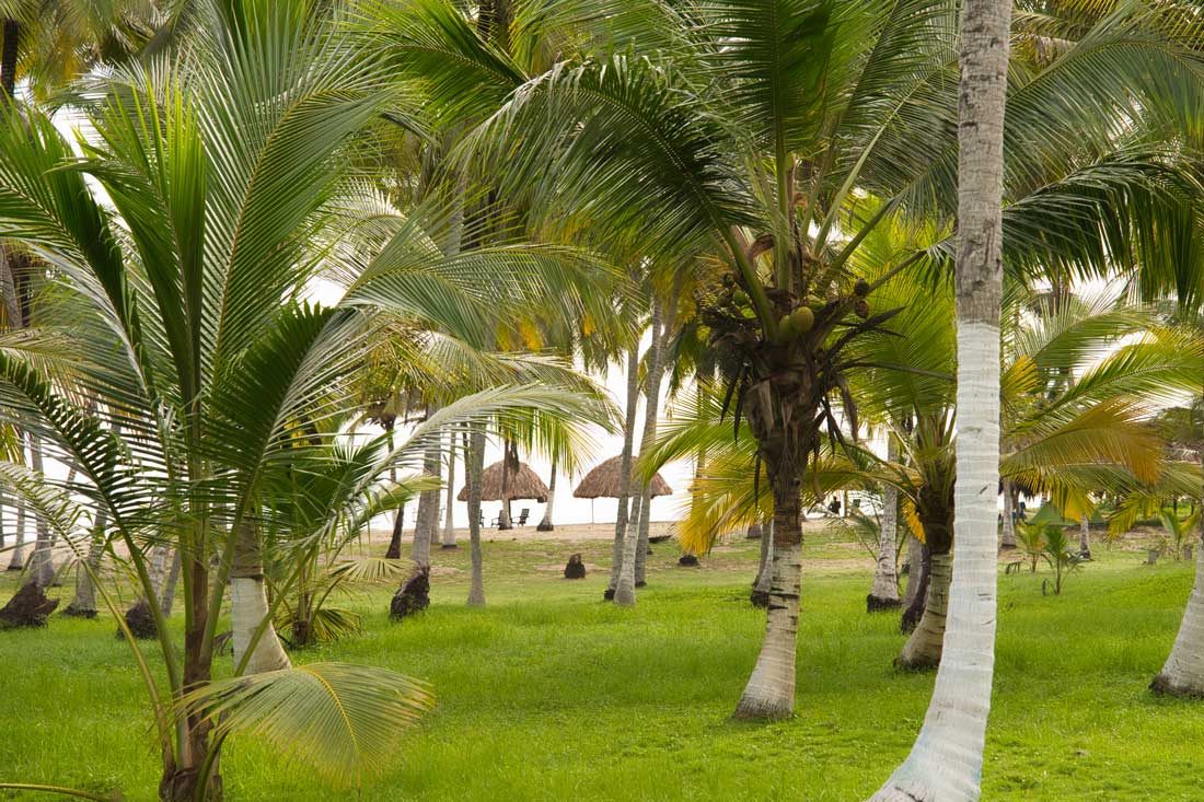 Hotel Parque Tayrona