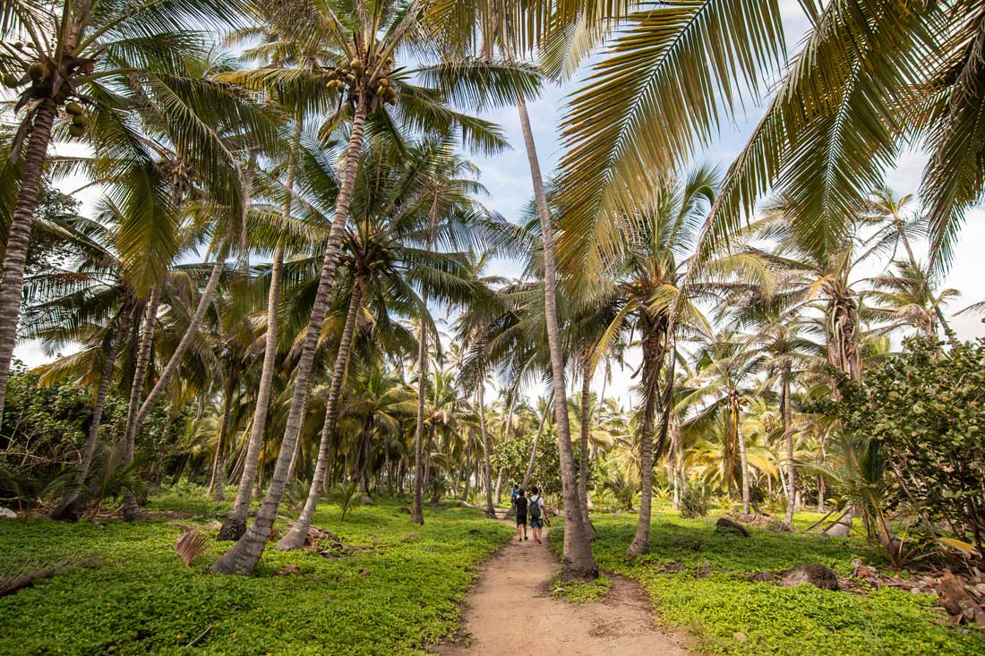 Hotel Parque Tayrona